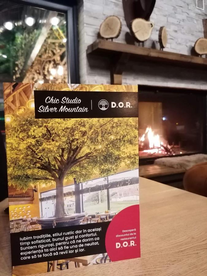Chic Studio Silver Mountain Poiana Brasov Exterior foto